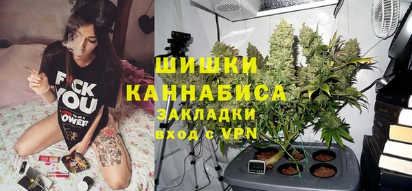 твердый Богородицк