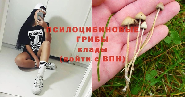 СК Богданович
